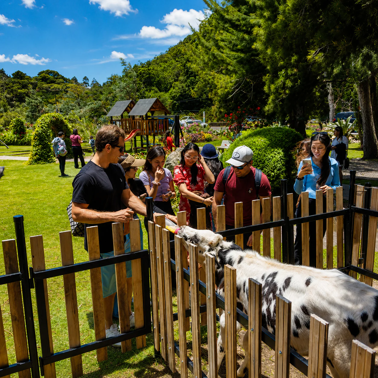 Escápate a la Naturaleza para 10 personas por solo $450 la noche en Hotel Bambito Residence - Image 15