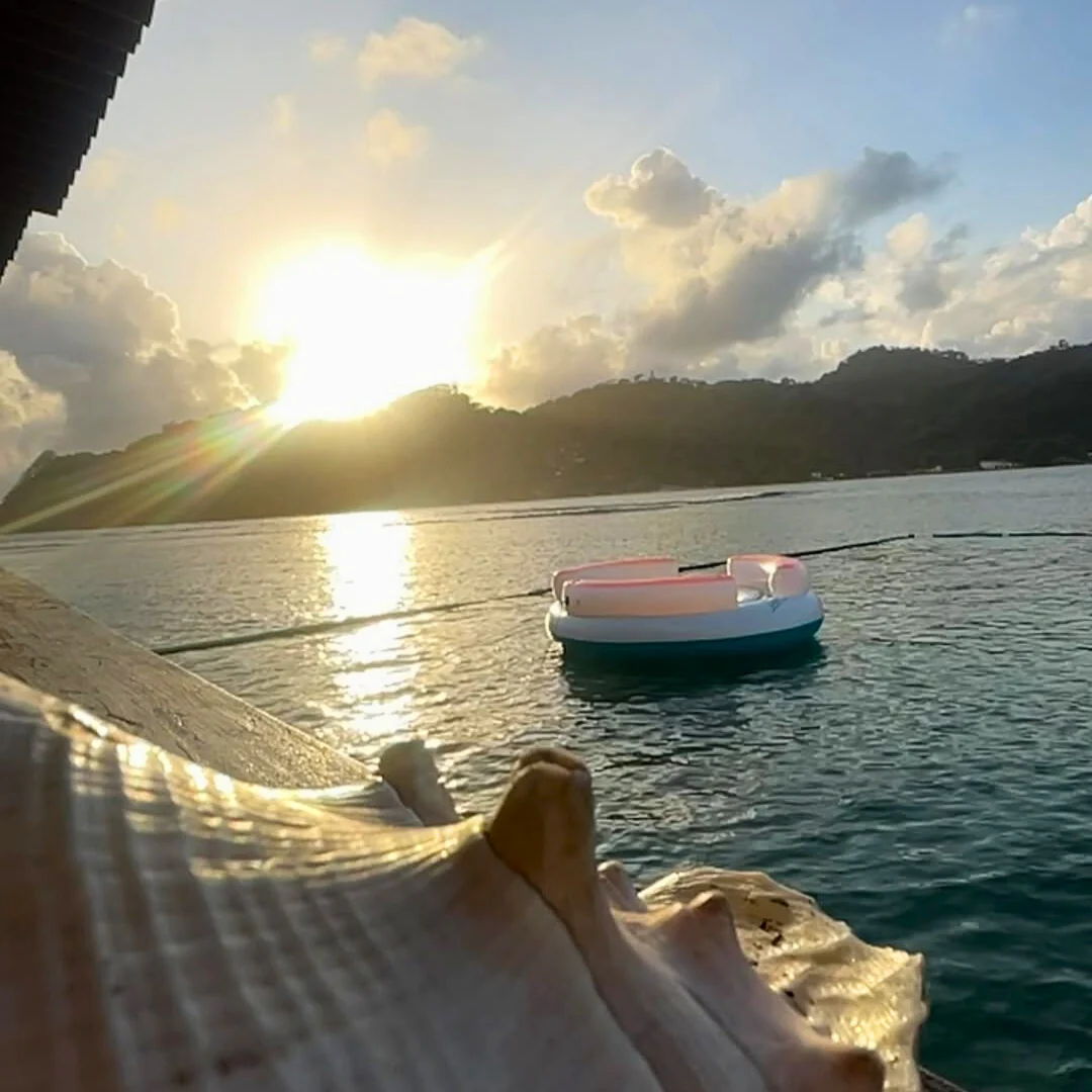 Pasadía de Playa + Almuerzo con Bebida + Traslado de Lancha por $28 en el Hotel Cocotal Isla Grande - Image 12